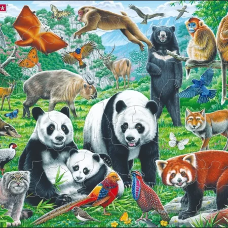 Larsen Puzzle Kiina Wildlife FH43