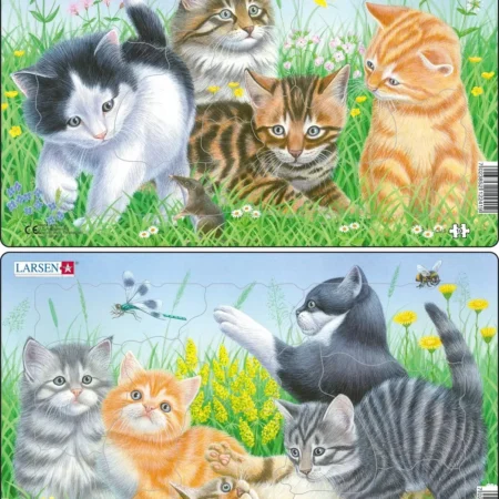 Larsen Puzzle Kassid MIDI CU5