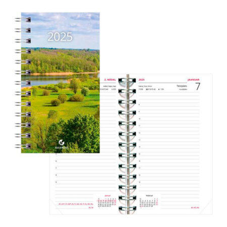 Miniboss Päev, spraalköites SISU