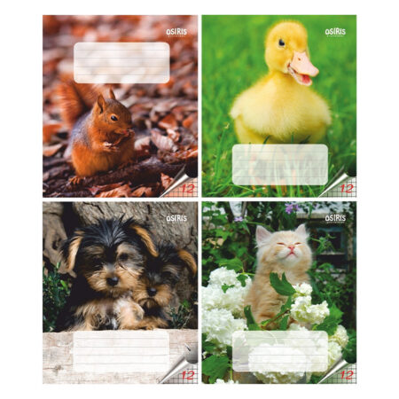 Vihik 12 lehte ruut Osiris loomapildid