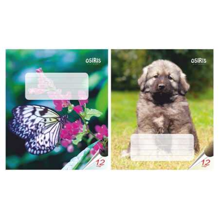 Vihik 12 lehte valge Osiris