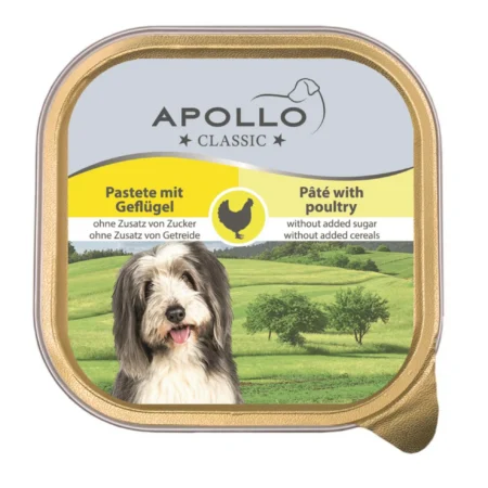 Koiranruoka siipikarjaa 300g