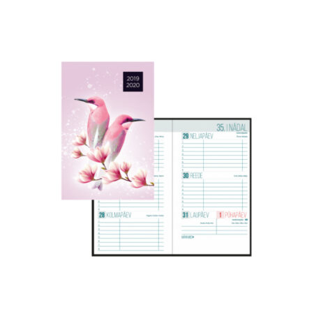 Väike koolipäevik, kõik kaanepildid